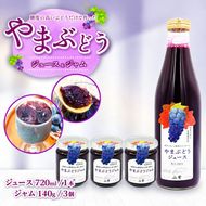 伊那市産 山ぶどうジュース720ml＆山ぶどうジャム140g×3個 セット | 飲料 ジュース やまぶどう 加工食品 ジャム セット 伊那市 長野県 信州【015-59】