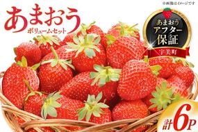 いちご あまおう ボリューム セット 6p 【2027年発送】 [THE FARM_strawberry 福岡県 宇美町 um40azo780006] 先行予約 イチゴ 苺 フルーツ 果物 果実 甘い あまい 小分け 6パック