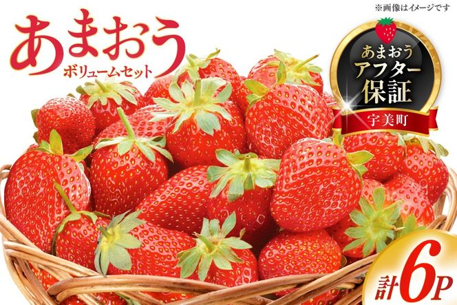 いちご あまおう ボリューム セット 6p 【2027年発送】 [THE FARM_strawberry 福岡県 宇美町 um40azo780006] 先行予約 イチゴ 苺 フルーツ 果物 果実 甘い あまい 小分け 6パック