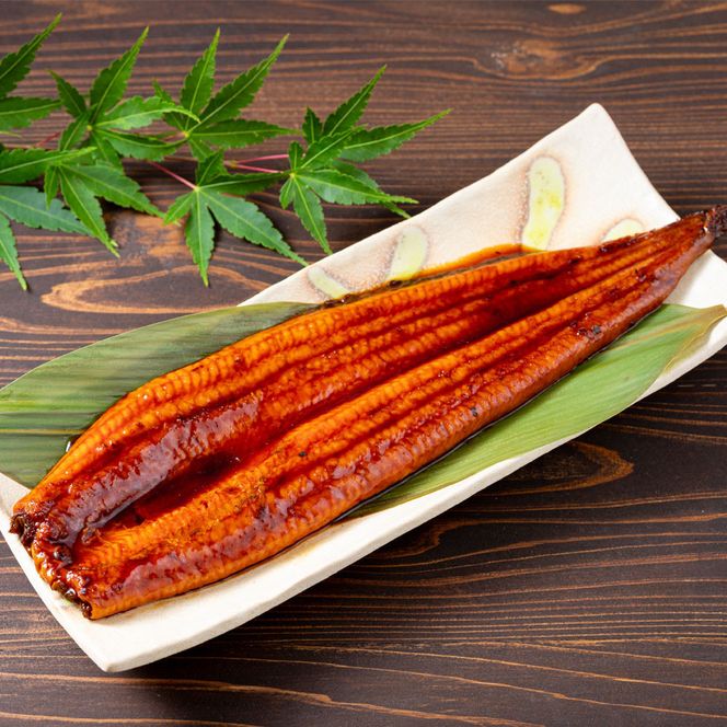 うなぎ 蒲焼 120g×3尾【鹿児島産】地下水で育てた絶品鰻 464686_AQ131