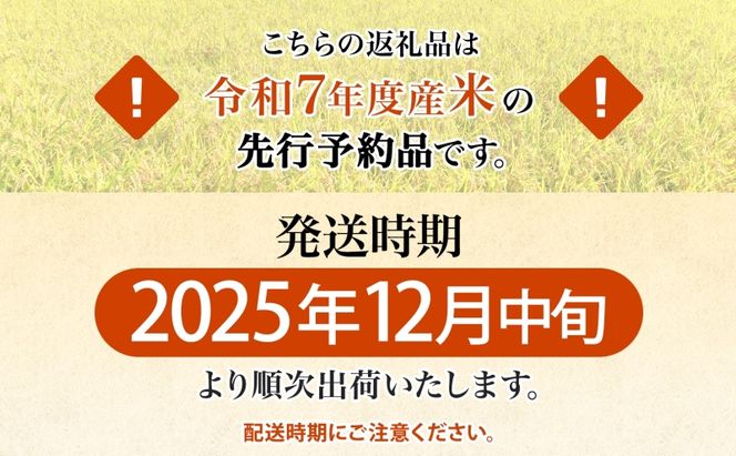 R7年産 特選米 ハツシモ 玄米 11kg ×1袋 お米 米 ごはん  ご飯 はつしも 令和7年産 ブランド米 低農薬 お取り寄せ 産地直送 クリーンファームまき 送料無料 岐阜県 安八町