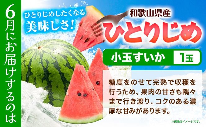 【発送月固定定期便】フルーツセット 果物セット(すいか 桃 ひらたねなし柿)【全３回】 魚鶴商店《6月中旬-11月上旬頃出荷》 和歌山県 日高川町 すいか 小玉すいか ひとりじめ 桃 平核無柿 柿 化粧箱入 ギフト 果物 フルーツ 旬 送料無料 定期便---wshg_uot111tei_26_36000_6810y3---