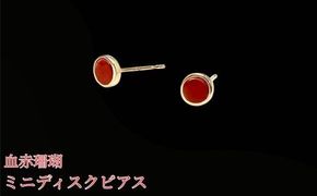 珊瑚 血赤珊瑚 ミニディスク ピアス K10イエローゴールド 天然サンゴ 一点物 アクセサリー 厄除け お守り クリスマス バレンタイン 誕生日プレゼント 記念日 ホワイトデー ジュエリー 大人可愛い ギフト さんご サンゴ 高知県室戸市