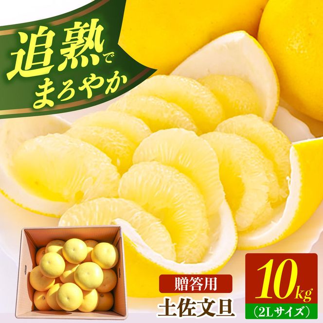 【先行予約】土佐文旦の創始 宮地文旦園の土佐文旦 贈答用2L 約10キロ 20～22個入り 10kg〈2027年3月上旬～4月下旬〉 ぶんたん ブンタン フルーツ 柑橘 みかん 果物 くだもの 柑橘類 デザート ギフト 贈り物 高知県 土佐市【宮地文旦園】[BQBP005]