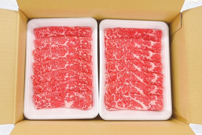 牛肉 宮崎県産 黒毛和牛 赤身 スライス 切り落とし 250g 6p 計1.5kg セット [TRINITY 宮崎県 日向市 452061320] すき焼き 冷凍 小分け 黒毛 霜降り 牛 和牛