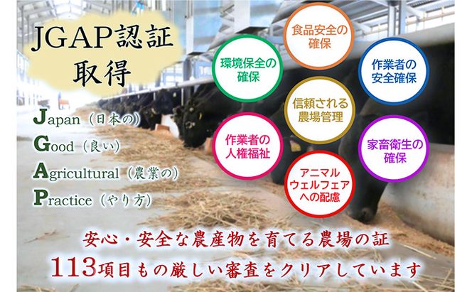 【飛騨牛】海津市産モモしゃぶしゃぶすき焼き用スライス 【配達不可：離島】 お肉 牛肉 鍋 牛鍋 もも肉 ブランド牛 赤身 適度なサシ 霜降り 濃厚 旨味 脂身が少ない 肉じゃが 炒め物 ダイエット 岐阜県産 国産 