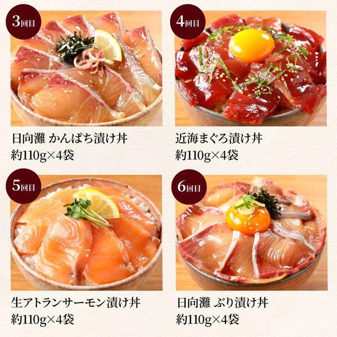 お魚の漬け丼バラエティ10回定期便 N019-YG0190