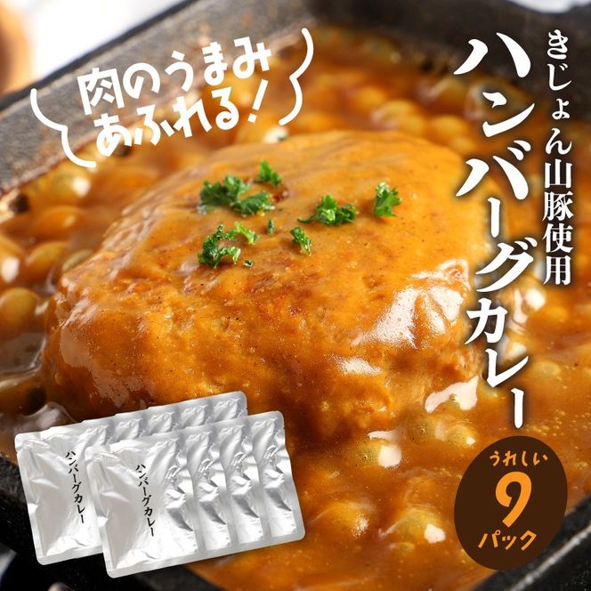 レトルト ハンバーグカレー 9パック K16_0042_2