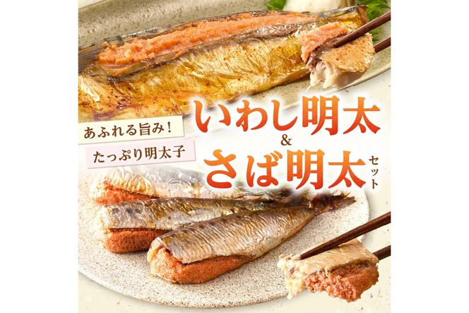 【B5-051】いわし明太&さば明太セット 12尾