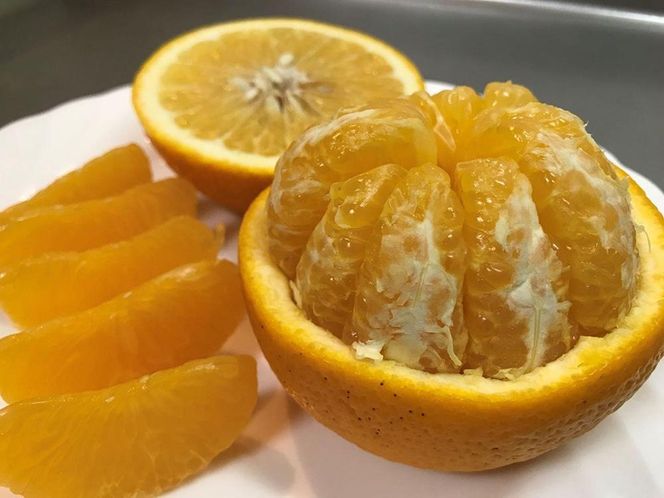 手さげ箱 手詰め 有田 はっさく 2L ~ M 4~6玉入 ちょっと 傷あり 南泰園 みかん 柑橘 フルーツ 果物 くだもの 食品 人気 おすすめ 送料無料 産地直送 BS716