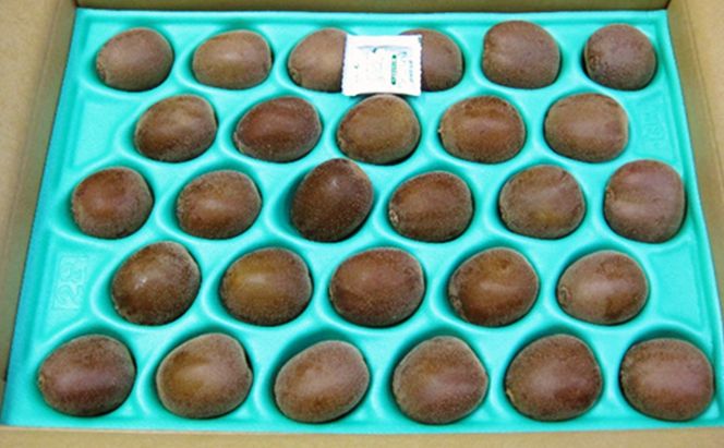 さぬき エンジェルスイート2.2kg キウイフルーツ キウイ フルーツ 果物 くだもの 果実 旬の果物 旬のフルーツ 香川 香川県 東かがわ市