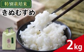 米 きぬむすめ 2kg 農家直送 特別栽培米 精米 お米 中生種 新生活 贈り物 人気米 おにぎり ご飯 白米 コメ 贈答 静岡県 藤枝市