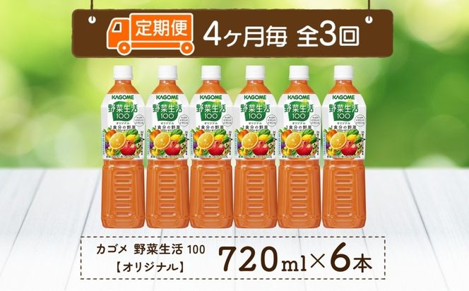 ns038-062　【定期便】4ヵ月毎全3回野菜生活100 オリジナル 720mlPET