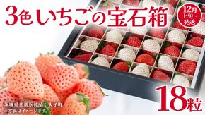 3色いちご の宝石箱18粒【2025年12月上旬発送開始】(茨城県共通返礼品：大子町) いちご 苺 果物 フルーツ 果実