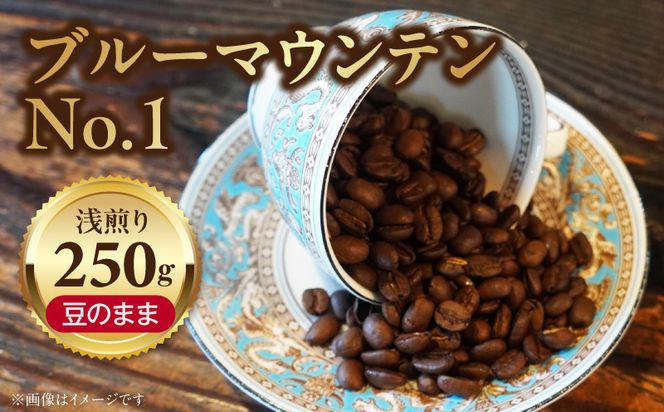 ブルーマウンテンＮｏ．１（豆のまま） ［104T03］ ブルーマウンテンNo.1 豆のまま コーヒー好き 豆香館 日本人の味覚 相性が良い 高級豆 ブルーマウンテン 浅煎り コーヒーの王様 ジャマイカ 深い味わい 上品な味 コーヒー ご褒美 プレゼント用 ギフト用 愛知県 小牧市 送料無料