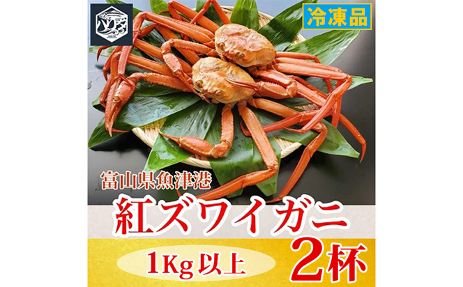 【冷凍】自社漁船直送！魚卸問屋の紅ズワイガニ 1kg以上×2ハイセット｜かに カニ 蟹 国産ずわい蟹 ずわいガニ 紅ズワイ蟹 紅ずわいがに 紅ずわい蟹 ボイル セットかにしゃぶ 魚貝類 魚介類 海鮮 鮮魚 新鮮 蟹飯 人気 豪華 ご褒美 贅沢 お取り寄せ グルメ カニ味噌 ※2026年9月～発送