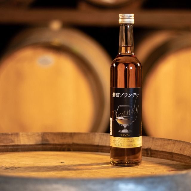 葡萄ブランデー 500ml 018-047