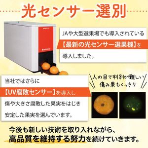 【先行予約】こだわりの極早生みかん 約7.5kg 農家直送 有機質肥料100% サイズ混合 ｜ みかん 極早生 早生 柑橘 果物 くだもの 果実 フルーツ 和歌山 有田