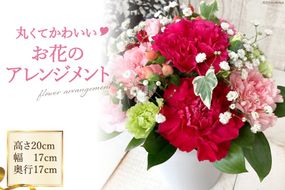 丸くてかわいいお花のアレンジメント [池川”FLOWER”生花店 北海道 砂川市 12260609] 花 花束 アレンジメント カーネーション 母の日 誕生日 プレゼント ギフト