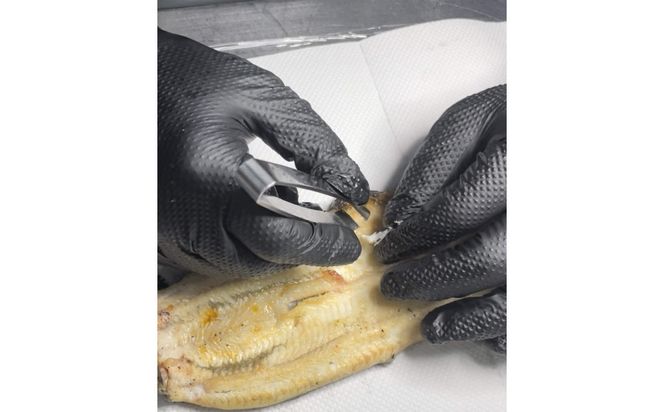 特選国産雌うなぎ蒲焼骨抜き（秘伝タレ付き） 242161_FN002