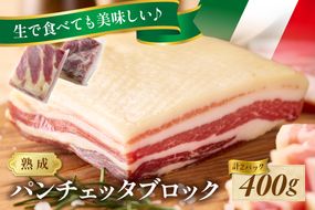 パンチェッタブロック（豚バラ肉の塩漬け）　約200g×2袋 ふるさと納税 豚肉 塩漬け ふるさと納税 ベーコン ふるさと納税 パンチェッタ 豚バラ 塩漬け スペイン料理　NI00021