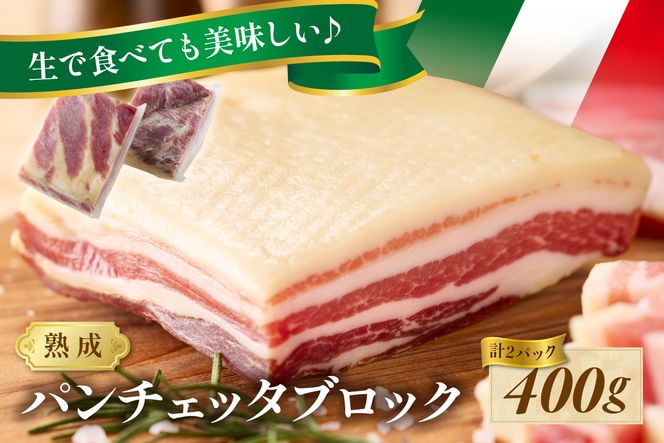 パンチェッタブロック（豚バラ肉の塩漬け）　約200g×2袋 ふるさと納税 豚肉 塩漬け ふるさと納税 ベーコン ふるさと納税 パンチェッタ 豚バラ 塩漬け スペイン料理　NI00021
