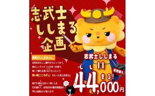 【定期便全4回】ししまる牛・豚定期便A(4ヶ月連続・計4.29kg以上) t0044-007