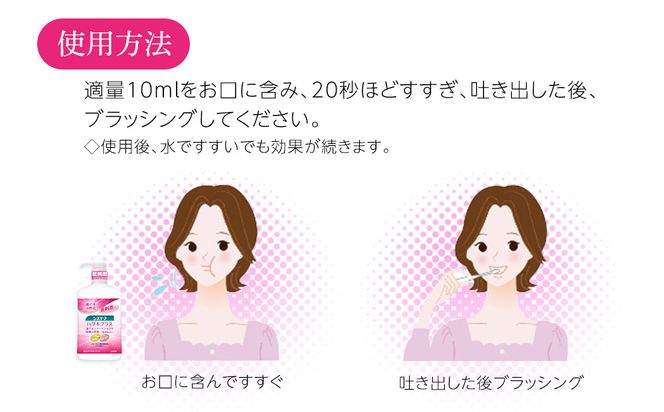 【定期便 毎月 6か月】LION ハミガキセット 142069_CR005