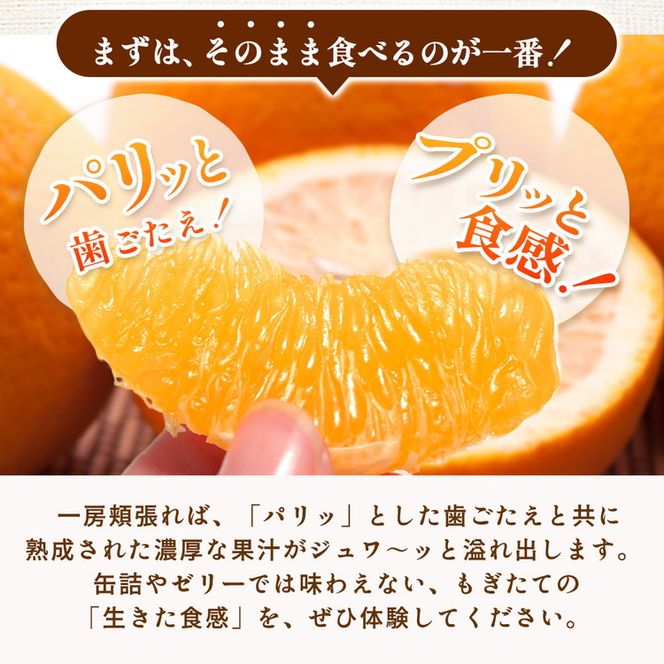 ＜4月より発送＞厳選 樹上完熟はっさく5kg+250g（傷み補償分）【有田の春みかん・五月八朔・木生りはっさく】【光センサー選別】