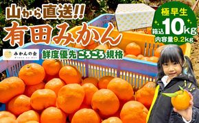 みかん 極早生 山から直送 箱込 10kg (内容量約 9.2kg) 採れたてそのままごろごろ規格 有田みかん 和歌山県産 【みかんの会】AX188