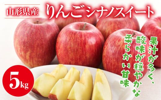 yR`쒬zFYN9-382 ƒp R`Y  VimXC[g 5kg ۏGȏ 2026N10{珇 ь  S Hʎ ʕ  t[c p ƒp Yn Ԍ R` 쒬 R