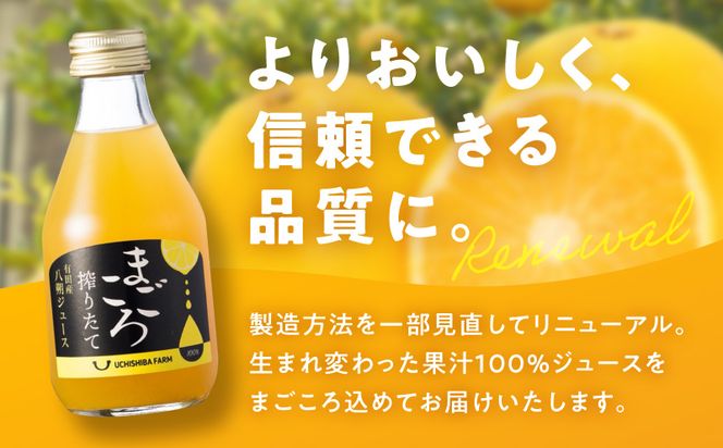 ZE6388n_【まごころ搾りたて】八朔 100%ジュース 180ml × 3本 贈答用