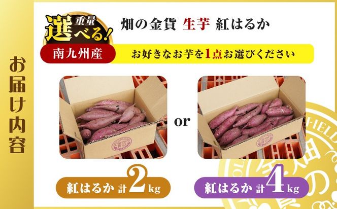 畑の金貨 生芋 紅はるか 容量が選べる　2kg or 4kg　K181-004