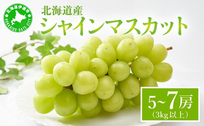 ＜先行予約＞シャインマスカット 5～7房（３kg以上）箱