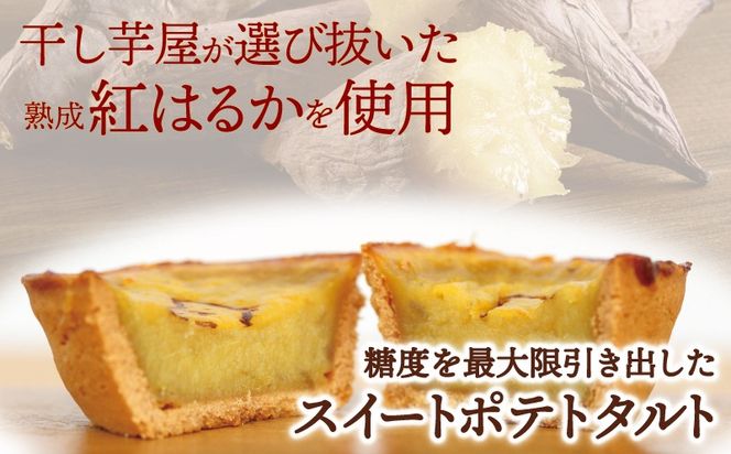 099H4535 国産紅はるか100％使用 干し芋屋のスイートポテトタルト【紅はるか 芋 いも イモ おやつ タルト サツマイモ】