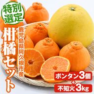 ＜先行予約受付中！2026年1月以降順次発送予定＞鹿児島県阿久根市産！特別選定 柑橘セット(ボンタン3個・不知火3kg) 国産 果物 フルーツ かんきつ ノーワックス【松永青果】akn053-26