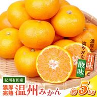 G7043_【2026年11月下旬より発送】紀州有田産 濃厚甘熟温州みかん 5kg