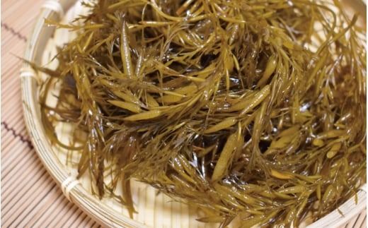 ［由良町産］紀州あかもく 100g×5パック（2024年産）【sml132】