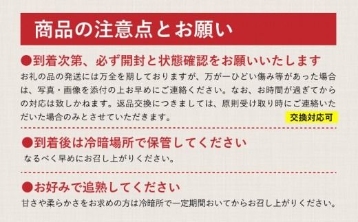 【ふるプレ限定品】【2026年 先行予約】山梨県産　シャインマスカット 約1.1kg (２房～3房)　FB014_premiamu