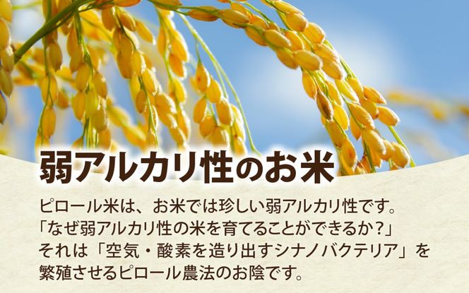 富山県滑川市産　弱アルカリ性米　「ピロール農法米　いのちの壱」玄米5kg【2025年10月中旬より順次発送】 / 産地直送 袋 ブランド米 お米 米 ご飯 ごはん 富山 滑川市 アグリめぐみ 農家直送 おこめ