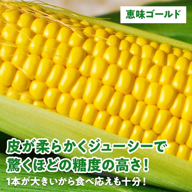 北海道産 スイート コーン めぐみゴールド 2Lサイズ 10本 2027年8月中旬～下旬頃お届け とうもろこし 恵味 めぐみ トウモロコシ 旬 野菜 産地直送 お取り寄せ 北海道 丸田農園 送料無料 洞爺湖 