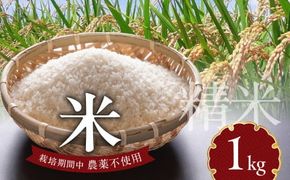 米 1kg N0182-YA0507