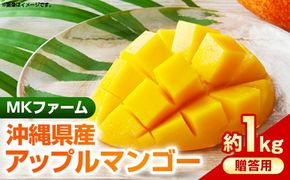 【2025年発送】MKファームの贈答用アップルマンゴー約1kg【贈答用】- 贈答用 ギフト 沖縄県産 産地直送 南国フルーツ 旬の味覚 アップルマンゴー オススメ 沖縄県 八重瀬町