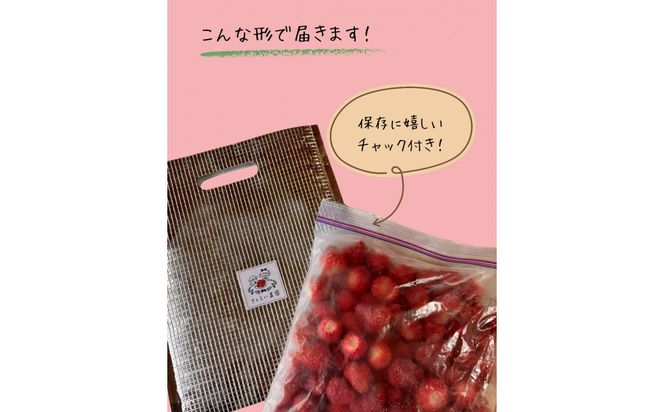 先行受付【2027年1月下旬～発送予定】【訳アリ 冷凍いちご】静岡県産の完熟紅ほっぺを使用した冷凍いちご大容量3kg!【静岡県産】 222232_CF005