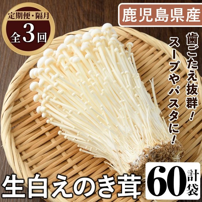 [定期便(奇数月)・全3回]生白えのき茸(計60袋・20袋×3回)国産 エノキ きのこ キノコ 個包装[三笠えのき茸生産組合]akn010-23