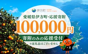 【返礼品なし】愛媛県伊方町・応援寄附100,000円（寄附のみの応援受付 ※返礼品はございません） IKTBG006