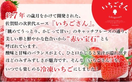 【選べる内容量】◆赤い宝石◆いちごさん 冷凍いちご 1kg～5kg（500g×2袋～10袋）