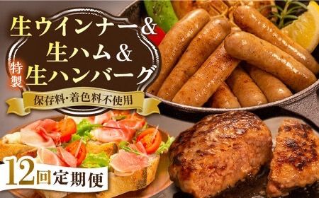 【全12回定期便】特製 生ハンバーグ 生ハム 生ウインナー 3種 セット 糸島市 / 志摩スモークハウス 肉 加工品 [AOA031]