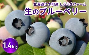 [先行受付] 北海道 仁木町産 有機栽培ブルーベリー1.4kg サイズ混合 果物 くだもの フルーツ ブルーベリー[しろうさファーム]