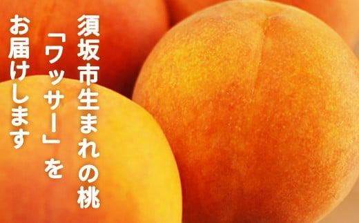 【硬めの桃】信州須坂の桃 ワッサー 特秀品 約3kg (約8～13玉) 《黒岩果樹園》■2025年発送■※7月中旬頃～8月下旬頃まで順次発送予定